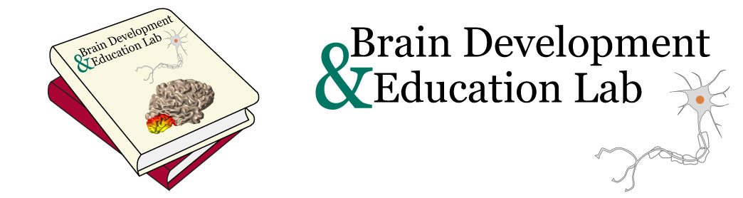Brain Development & Education Lab